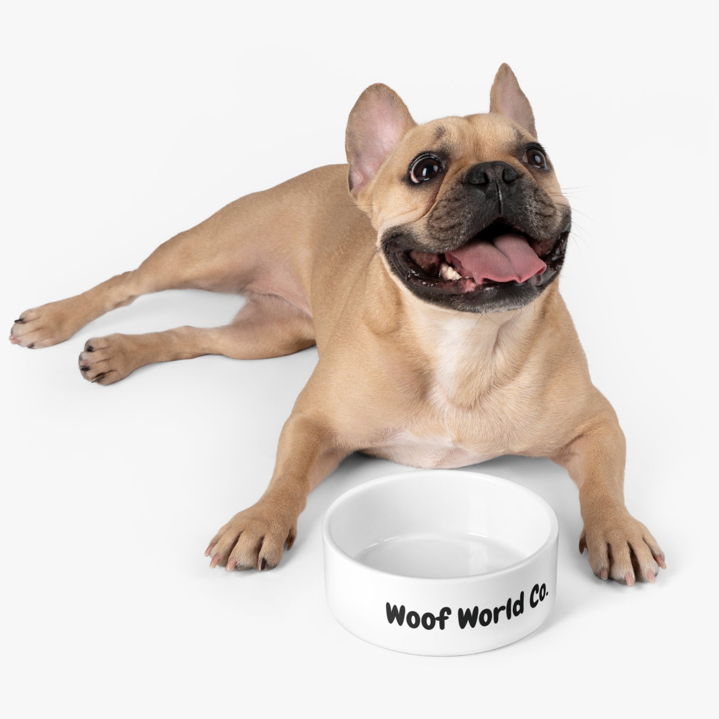 Pet Bowl - My Store