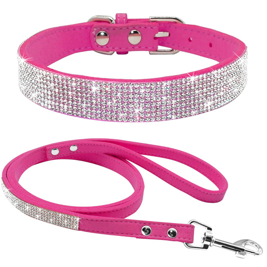 Bedazzled Collar & Leash