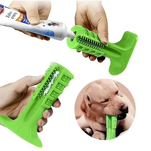 Teether Toothbrush